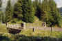 r1.jpg (102604 Byte)